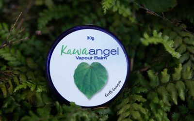 Send sniffles packing with Earth Energies Kawa Angel
