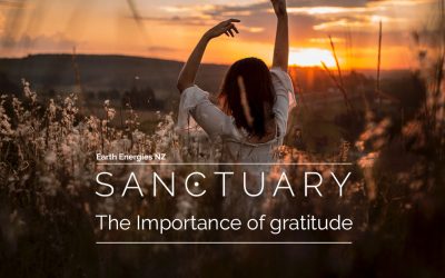 Rebalance from the mind outwards – Gratitude